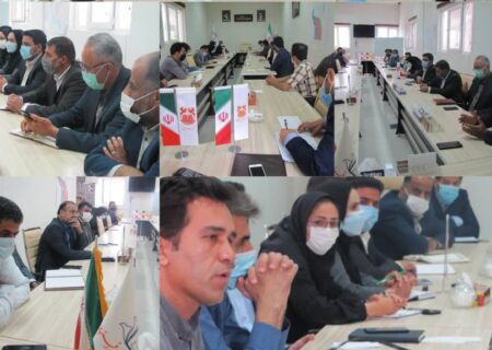 تشکیل انجمن تولیدکنندگان کود و سم در منطقه ویژه اقتصادی رفسنجان