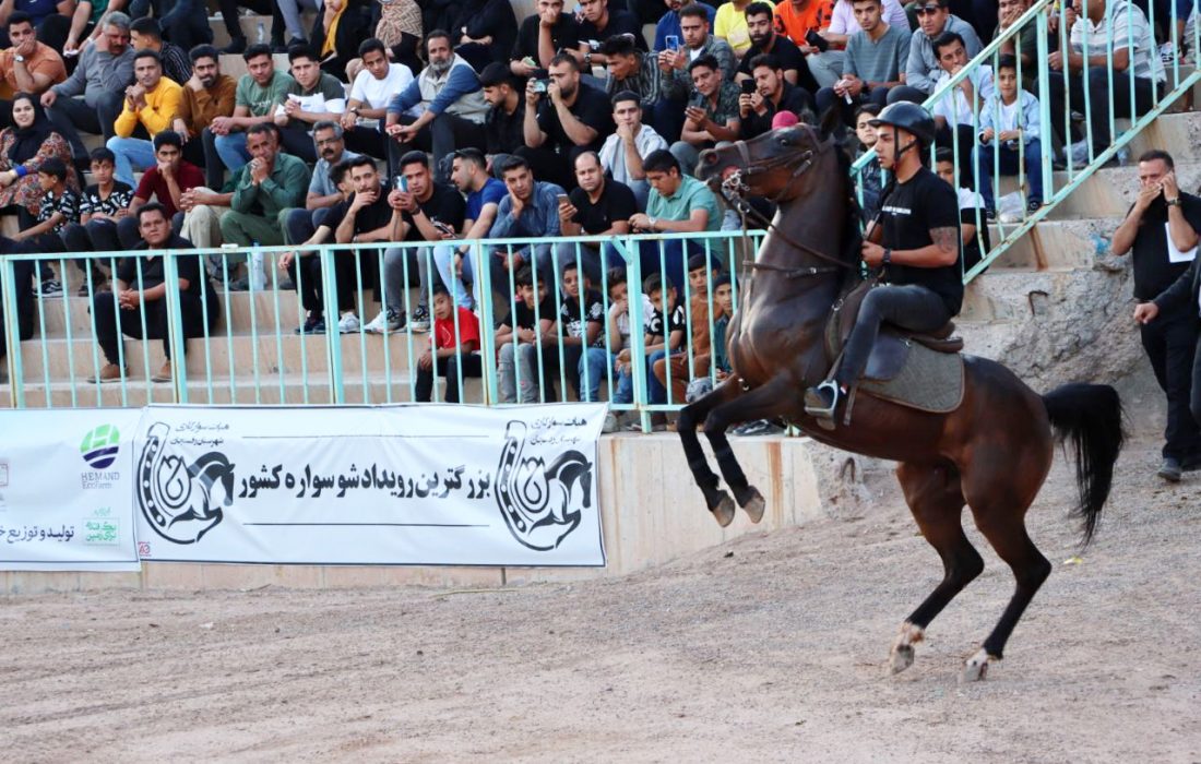بزرگترین رویداد صنعت اسب کشور در پایتخت شو سواره ایران