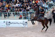بزرگترین رویداد صنعت اسب کشور در پایتخت شو سواره ایران