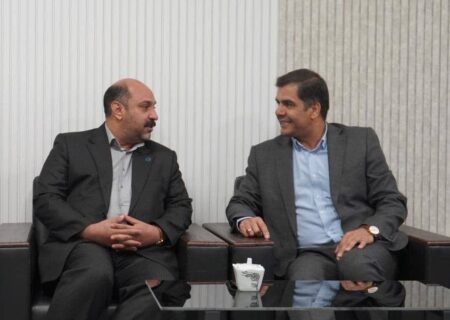 تشریح حمایت های مالیاتی فعالان اقتصادی در رفسنجان